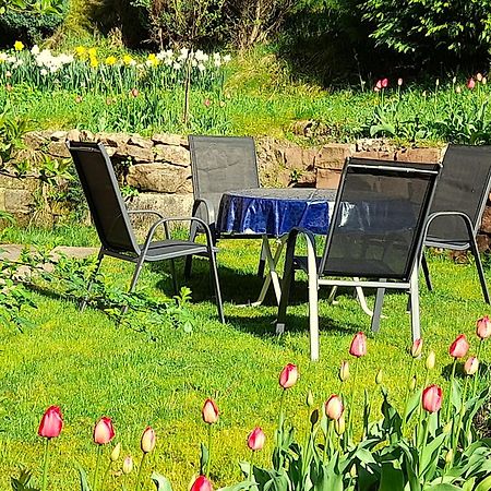 Haus Schneider Leilighet Baiersbronn Eksteriør bilde